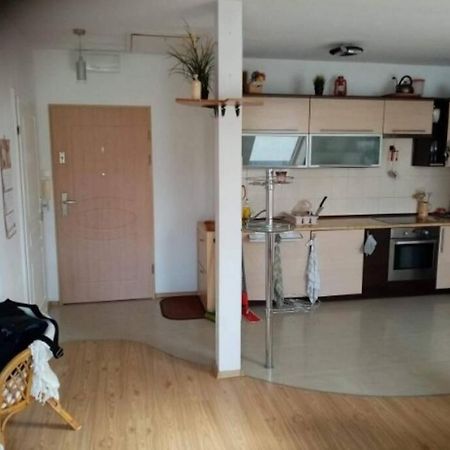 Jasne Czyste I Zadbane Mieszkanie Blisko Lotniska 格但斯克 外观 照片